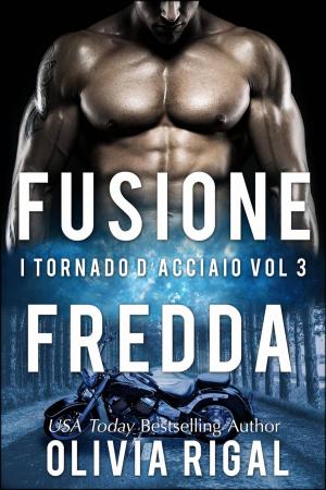 Cover of the book Fusione fredda. I Tornado D'Acciaio Vol. 3 by Stefania Gil