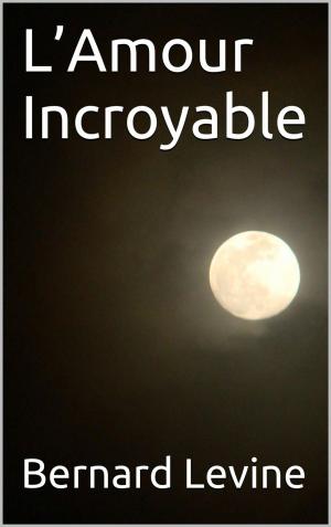Cover of the book L’Amour Incroyable by Danilo H. Gomes