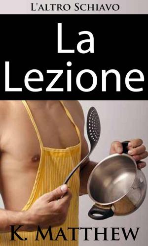 bigCover of the book La Lezione (L'altro schiavo - Libro 2) by 