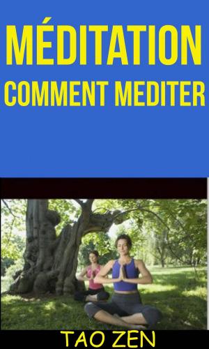 Cover of the book Méditation: Comment Mediter by Eba Martín Muñoz