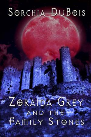 Cover of the book Zoraida Grey and the Family Stones by Ilona  Fridl