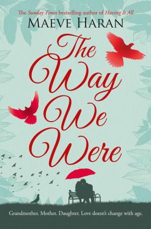 Cover of the book The Way We Were by Paul Stewart, Chris Riddell