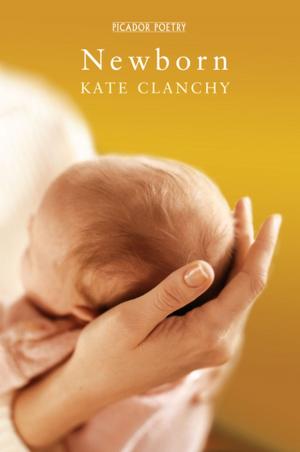 Book cover of Newborn
