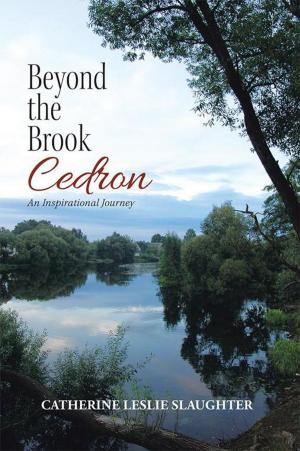 Cover of the book Beyond the Brook Cedron by Barbara A. F. Brehon