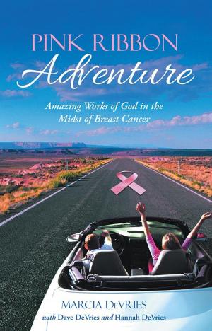 Cover of the book Pink Ribbon Adventure by Daniel O’Neil