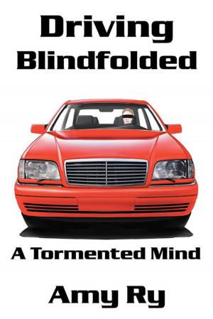 Cover of the book Driving Blindfolded by Lisa Fahey