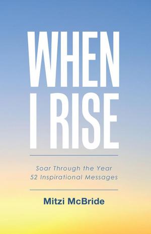 Cover of the book When I Rise by Joel Siegel