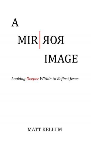 Cover of the book A Mirror Image by Dawn Marie Nappi