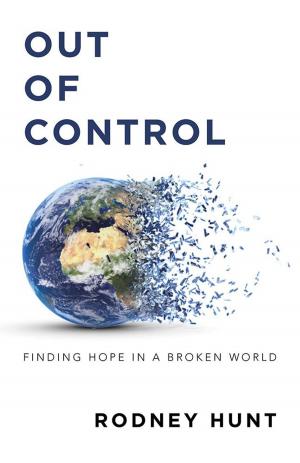 Cover of the book Out of Control by Vladimir Berzonsky