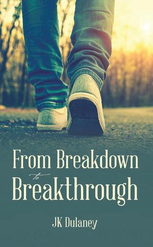 Cover of the book From Breakdown to Breakthrough by T. Faye
