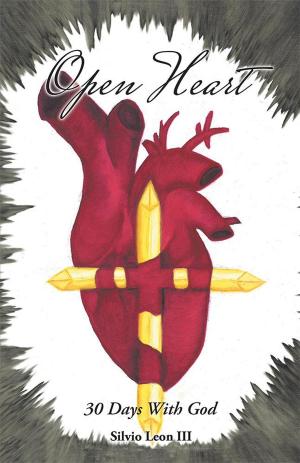 Cover of the book Open Heart by C. Orville McLeish