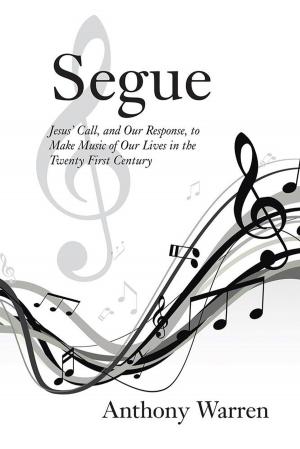Cover of the book Segue by Melinda Doljac