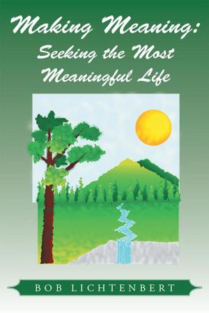 Cover of the book Making Meaning: by Warren W. C. Freeman
