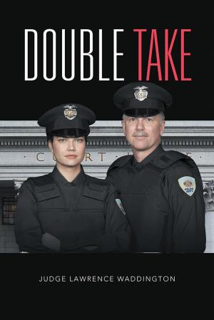 Cover of the book Double Take by Barnaby B. Barratt