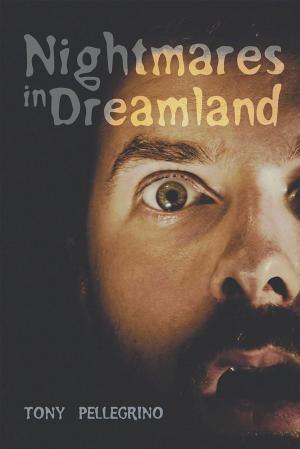Book cover of Nightmares in Dreamland