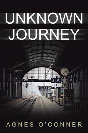 Cover of the book Unknown Journey by James Glance