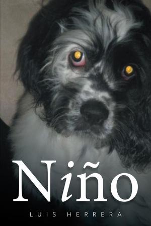 Cover of the book Niño by Robert Pauls