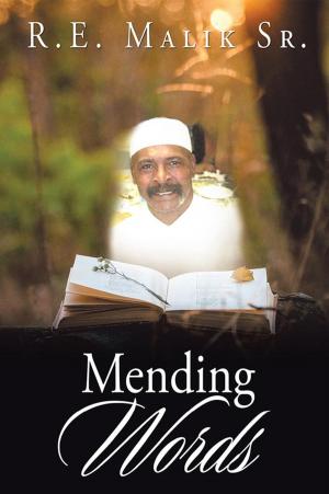 Cover of the book Mending Words by Carol Wolff