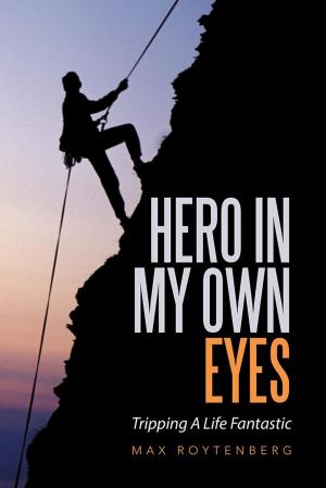 Book cover of Hero in My Own Eyes