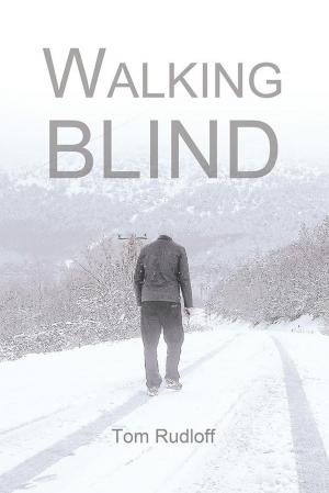 Cover of the book Walking Blind by Roger Dunphy