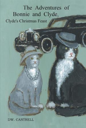 Cover of the book The Adventures of Bonnie and Clyde by Shelagh Watkins