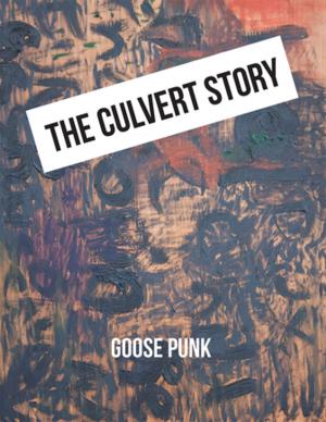 Book cover of The Culvert Story