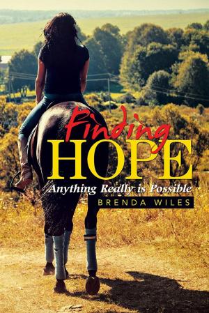 Cover of the book Finding Hope by Brenda L. Brightful