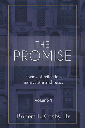 bigCover of the book The Promise by 