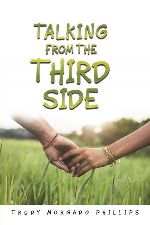 Cover of the book Talking from the Third Side by Robert Wall