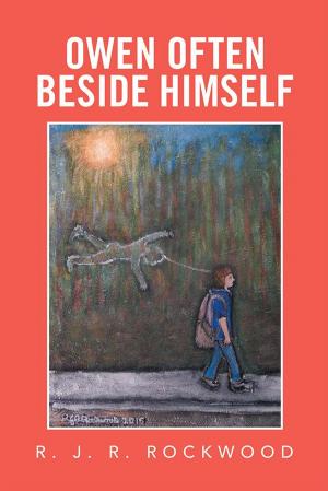 Cover of the book Owen Often Beside Himself by Stephen Vick