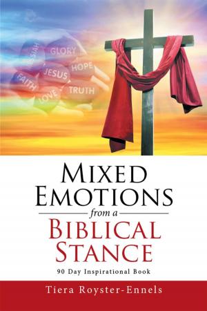 Cover of the book Mixed Emotions from a Biblical Stance by Zachary Friedenberg