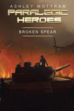 Cover of the book Paralegic Heroes by Aidy Thomas