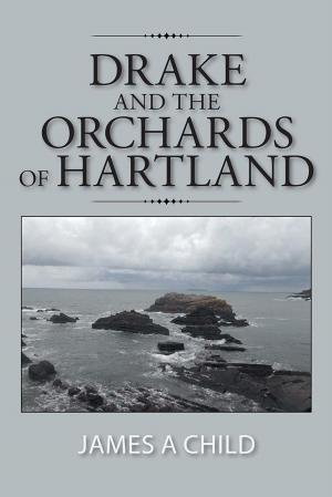 Cover of the book Drake and the Orchards of Hartland by Tommy Rhys Andrews