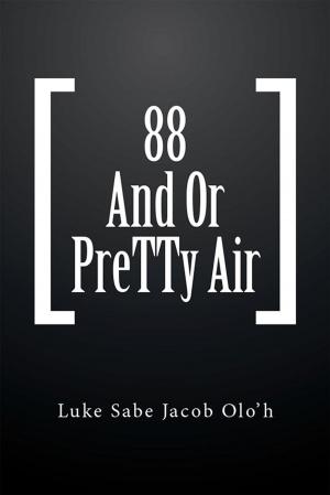 Cover of the book 88 and or Pretty Air by Emmanuel Danstan Chinunda