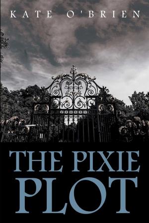 Cover of the book The Pixie Plot by Rebecca A. Vorsah  BEd (Arts)  MEd