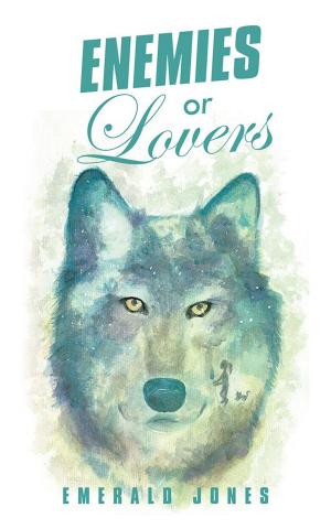 Cover of the book Enemies or Lovers by Derek L. Saunders