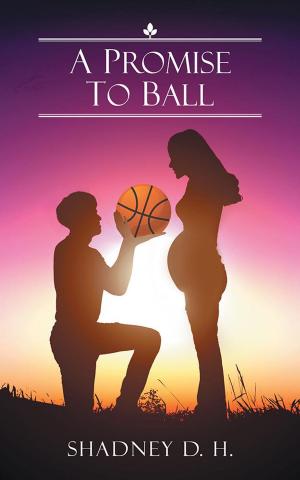 Cover of the book A Promise to Ball by Dr. Mary E. Waters