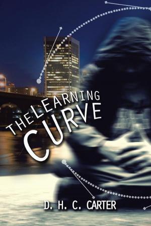 Cover of the book The Learning Curve by Valerie Byrne Rudisill