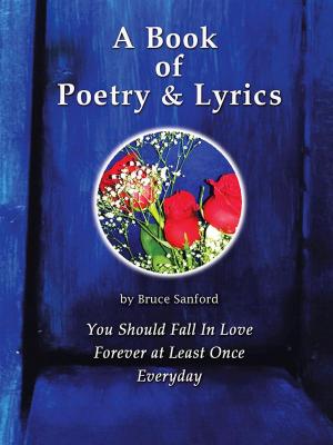 Book cover of A Book of Poetry & Lyrics