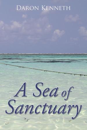 Cover of the book A Sea of Sanctuary by Allan Willis
