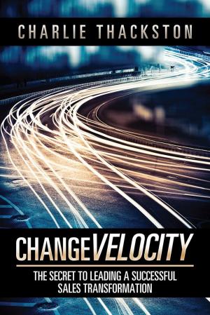 Cover of the book Change Velocity by Mike Gilmore