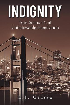 Cover of the book Indignity by Lisa N. Aldridge - Jones