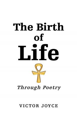 Cover of the book The Birth of Life by Alain Zgheib
