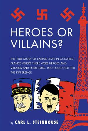 Book cover of Heroes or Villains?