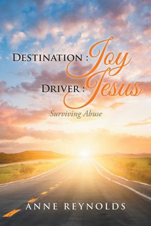 Cover of the book Destination Joy, Driver Jesus by Lori Tucker-Eccher, Michael F. Tucker