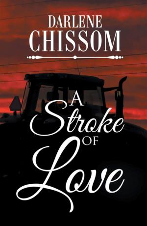 Cover of the book A Stroke of Love by Emily Mmaitsi