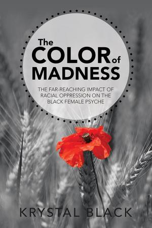 Cover of the book The Color of Madness by Regan Long