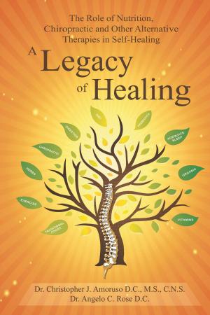 Cover of the book A Legacy of Healing by Marcelo Rodríguez