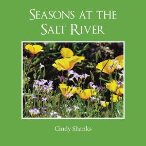 Cover of the book Seasons at the Salt River by Jasmine Dhuga