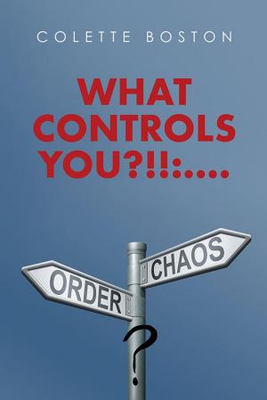 Cover of the book What Controls You?!!:.... by Bill Hunt P.A.-C